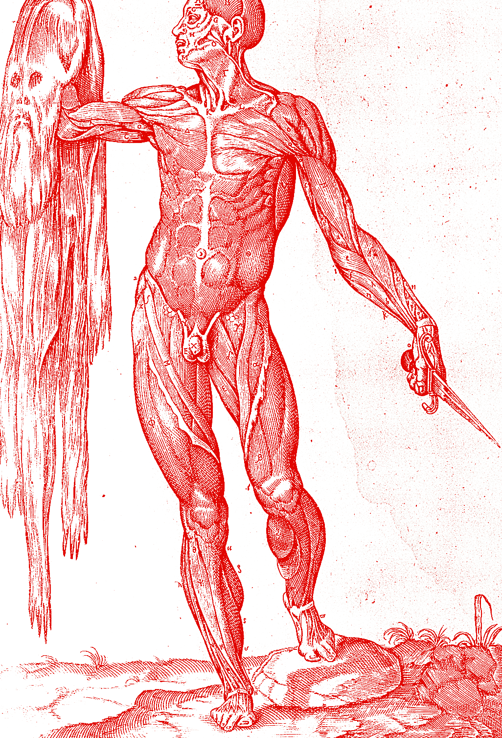 Flayed écorché figure holding its own skin — the Happy Morgue cover